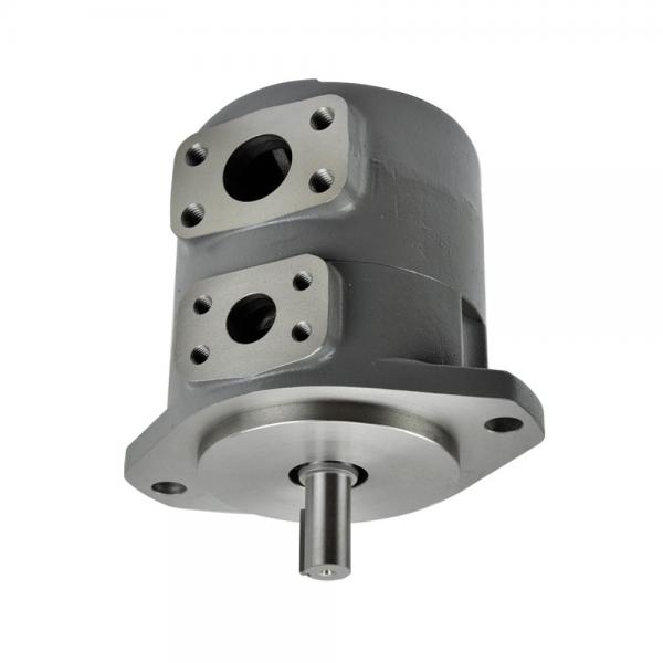 Yuken A145-FR04HBS-1DD-22-R Variable Displacement Piston Pump #1 image