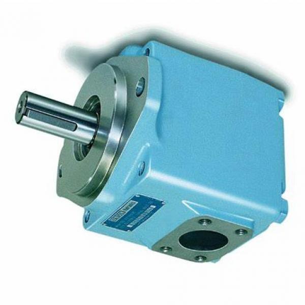Vickers PVH074R01AA10H002000AW1001AB010A Pressure Axial Piston Pump #1 image