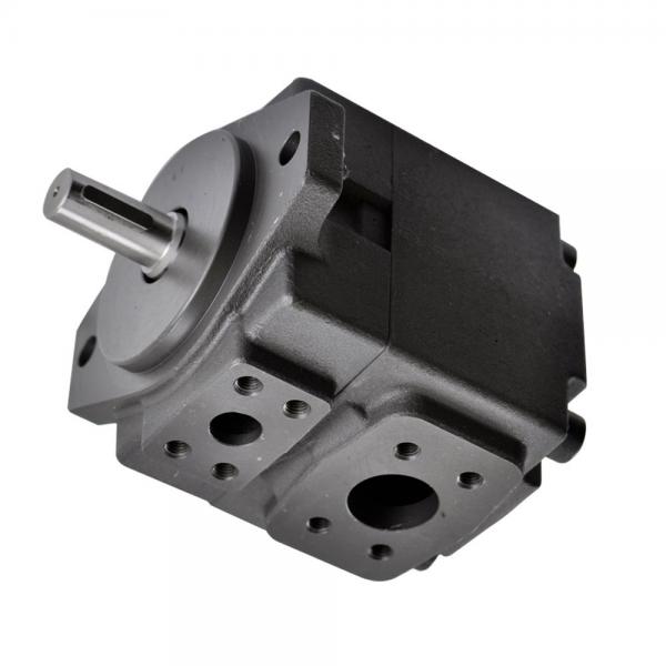 Denison PV10-1R1B-C00 Variable Displacement Piston Pump #1 image